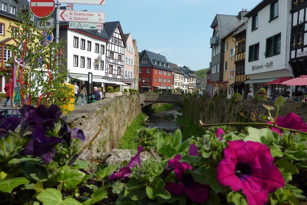 Ferienwohnung Orchidee Bad Muenstereifel Pokój zdjęcie